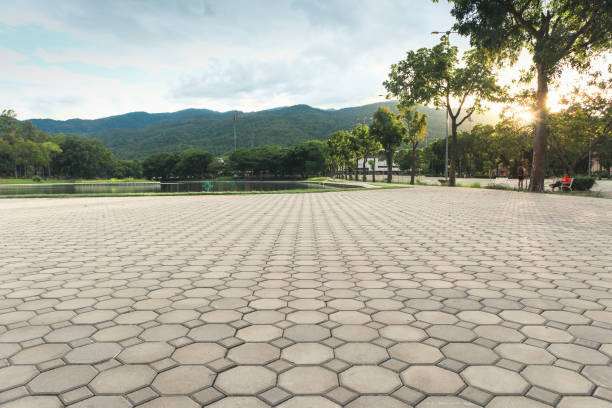 Best Cobblestone Driveway Pavers  in Batesburg Leesville, SC